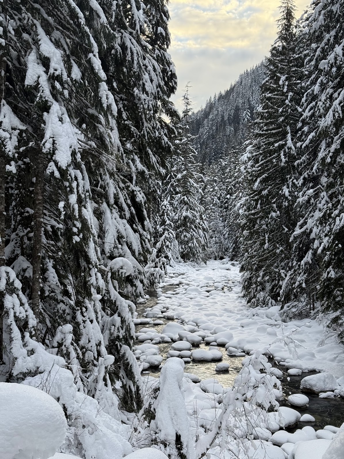Snowy winter landscape